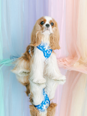 INFLUENCER_CONTENT | @ROMYTHECAVY | SIZE XS