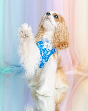 INFLUENCER_CONTENT | @ROMYTHECAVY | SIZE XS