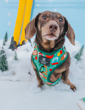 INFLUENCER_CONTENT | @WINSTONTHEDOX | SIZE XS