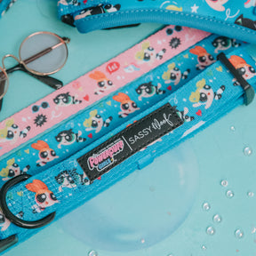 Dog Collar - The Powerpuff Girls™ (Blue)