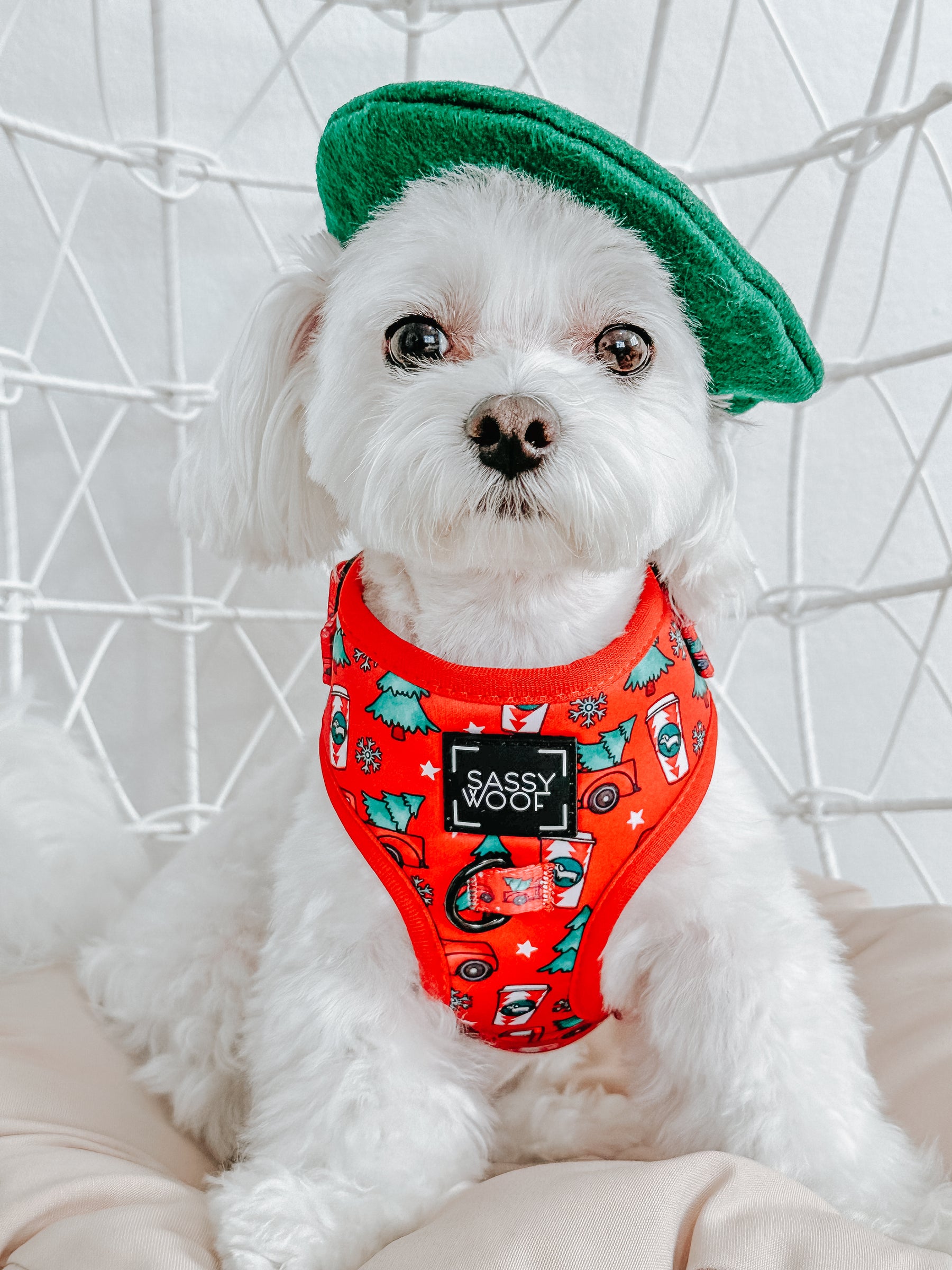 Dog Adjustable Harness - O Christmas Treat