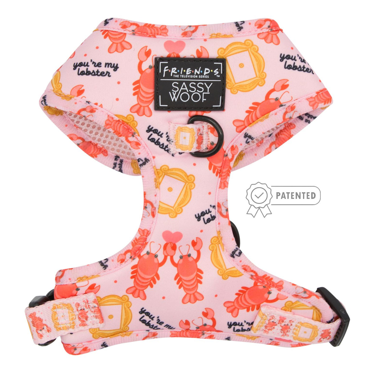 Dog Two Piece Bundle -  Friends™ (Lobster)