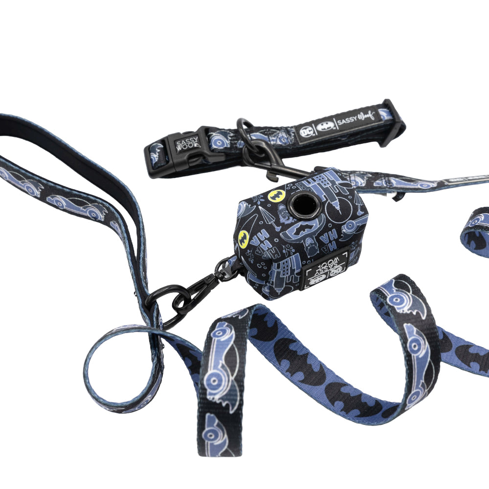 A three-piece dog collar bundle from Sassy Woof, featuring a Batman™ design in blue and black with playful cartoon car patterns; includes a collar, leash, and waste bag holder—all from the DC x Sassy Woof collection.