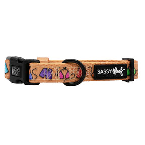 Dog Collar - Beach Bod