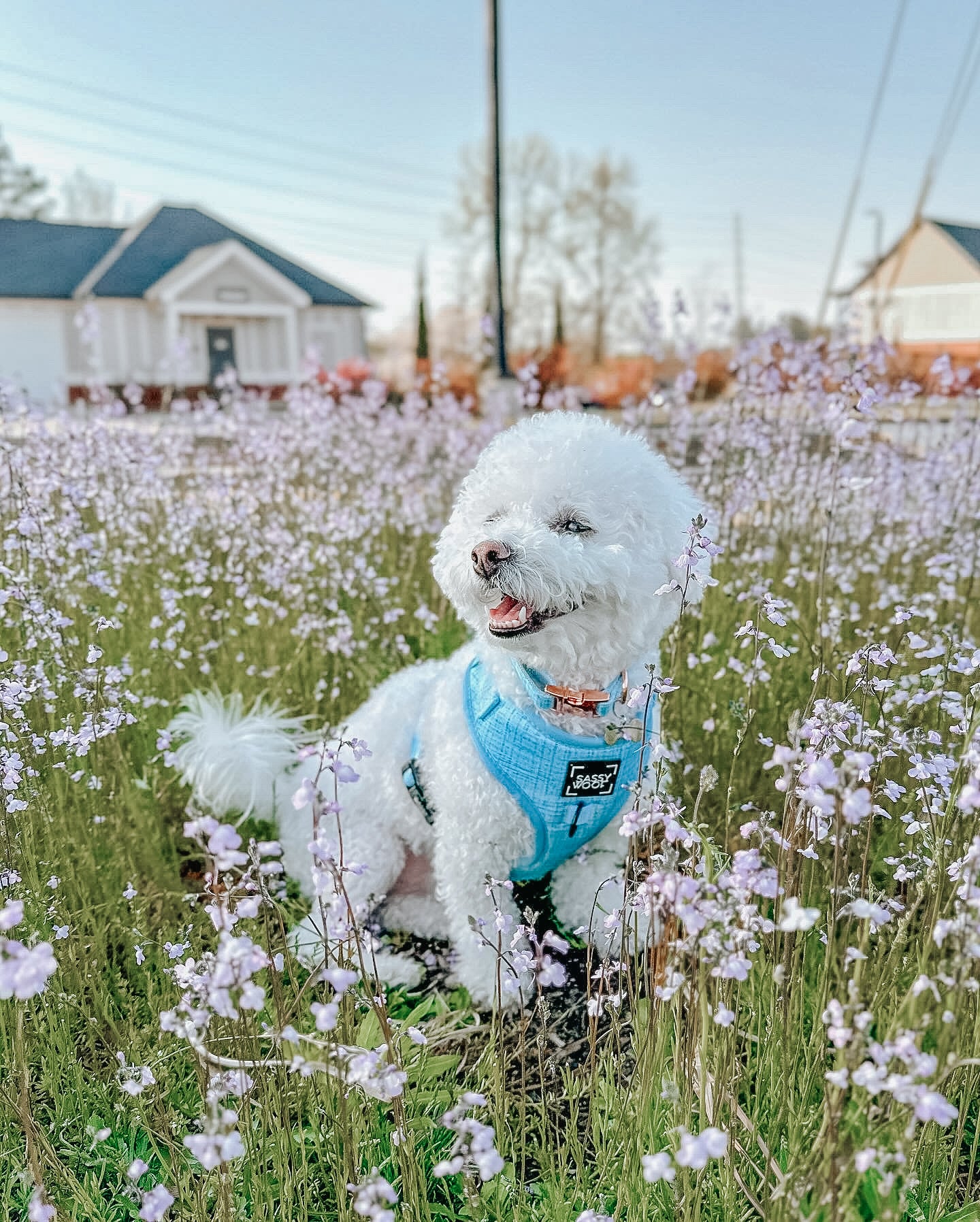 INFLUENCER_CONTENT | @BINGSUTHEBICHON | SIZE S