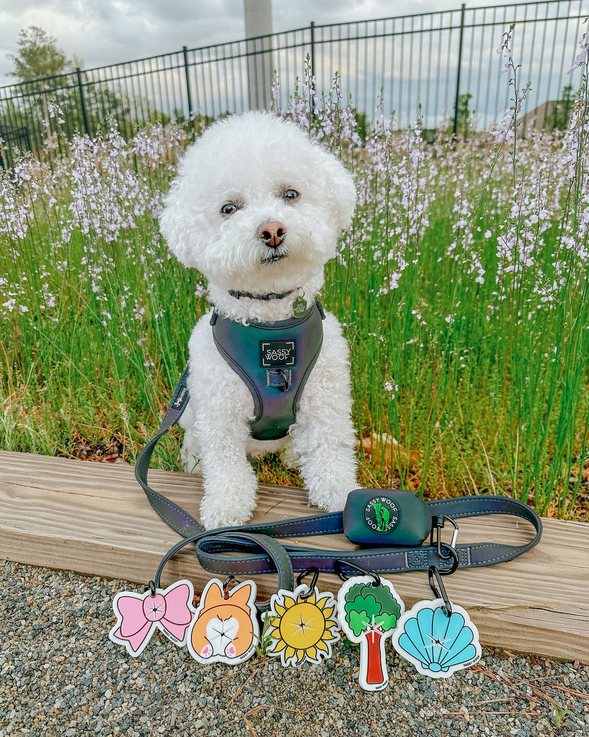 INFLUENCER_CONTENT | @BINGSUTHEBICHON | SIZE XS