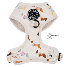 Dog Four Piece Bundle - Bold Boston Terriers