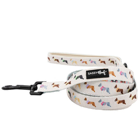 Dog Leash - Bold Boston Terriers