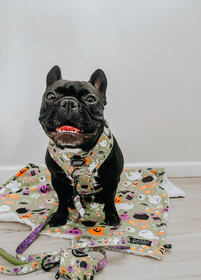 Dog Waste Bag Holder - Haunt Mess