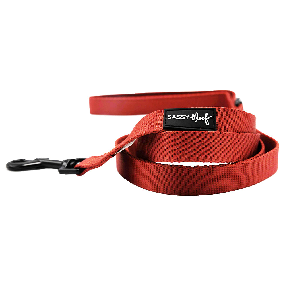 Dog Leash - Burgundy