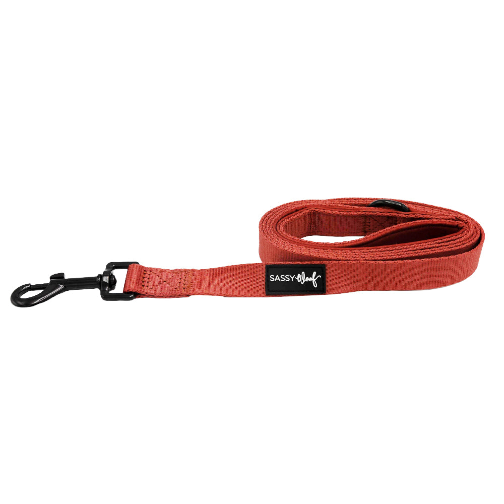 Dog Leash - Burgundy