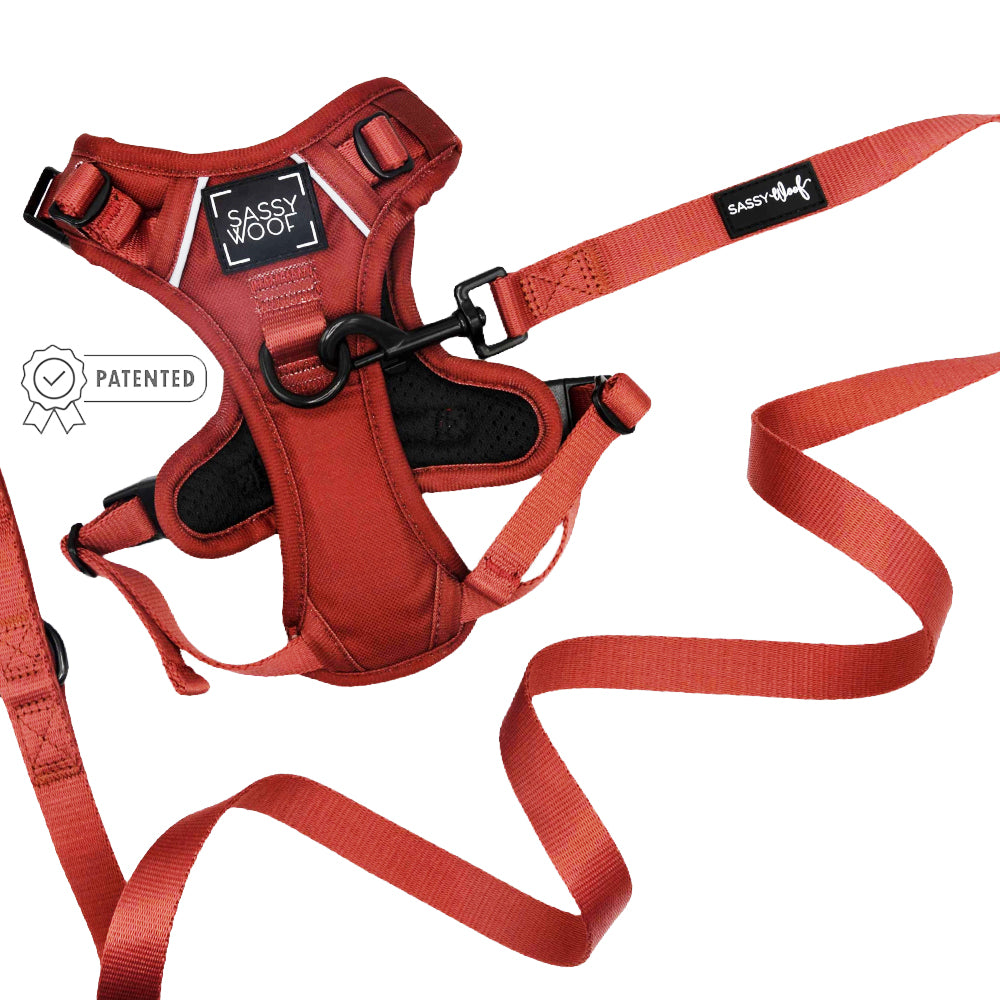 Dog Two Piece Bundle - Burgundy