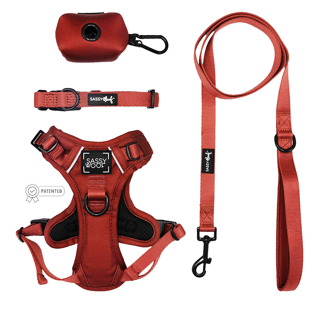 Dog Four Piece Bundle - Burgundy