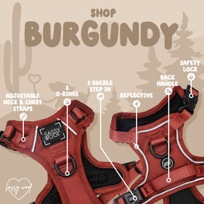 Sassy Woof’s Dog Four Piece Bundle - Burgundy features two harnesses with adjustable neck/chest straps, 2 leash D-rings, 3 buckle step-in design, reflective material, back handle, and safety lock. "Shop Burgundy" appears at the top.
