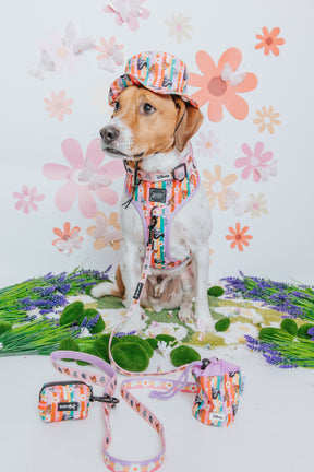 INFLUENCER_CONTENT | @MILO.REMUS | SIZE M