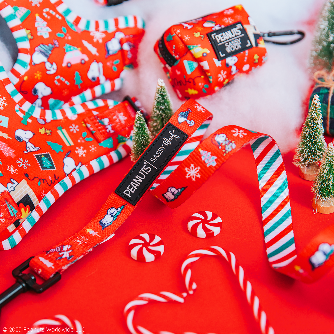 The Sassy Woof Peanuts™ Beagle Bells dog leash is shown with festive holiday accessories, featuring cheerful designs and displayed among candy canes and snow on a bright red background.