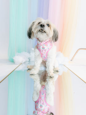 INFLUENCER_CONTENT | @YOUBERRABELIEVEIT | SIZE S