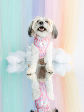 INFLUENCER_CONTENT | @YOUBERRABELIEVEIT | SIZE XS