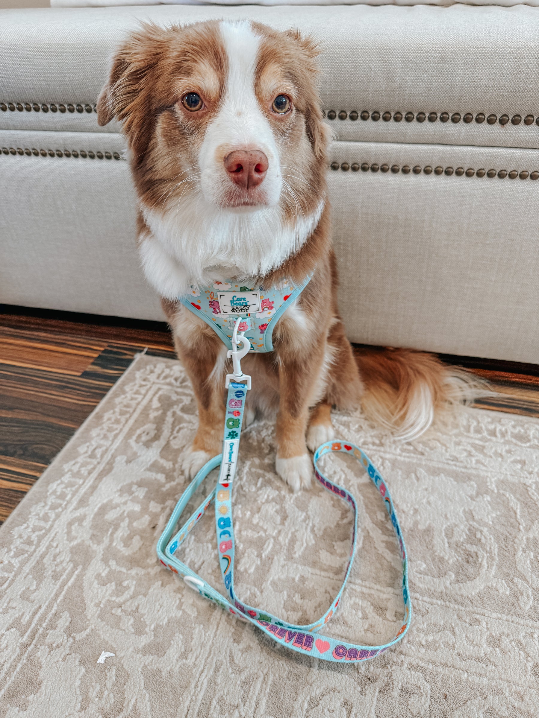 INFLUENCER_CONTENT | @BLANTONSADVENTURES | SIZE M 