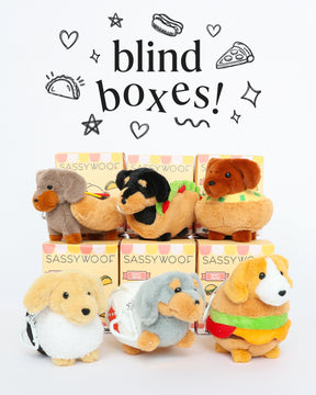 Plush dachshund toys dressed as foods are displayed with Sassy Woof boxes. Above them, fun doodles frame the words: Sassy Woof Blind Box! Collect each adorable stuffed toy from the Blind Box collection.