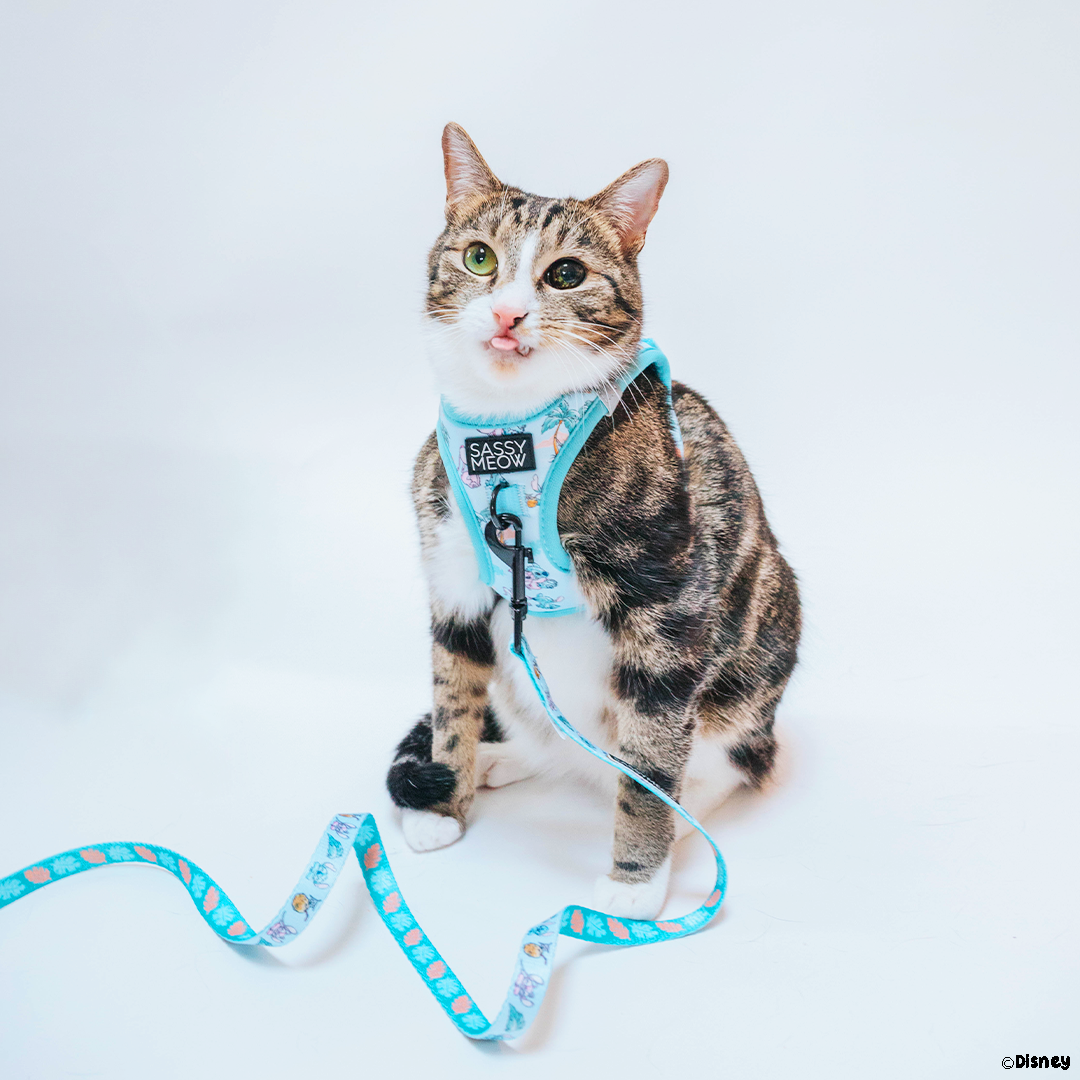 Cat Leash - Disney's Stitch Palms
