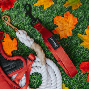Dog Leash - Burgundy