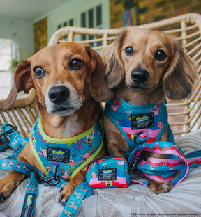INFLUENCER_CONTENT | @CALLIETHESAUSAGE