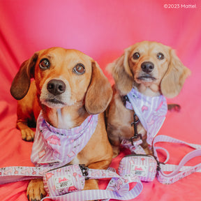 INFLUENCER_CONTENT | @CALLIETHESAUSAGE | SIZE S
