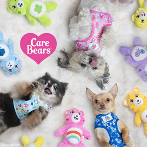 Three small dogs in Sassy Woof's Dog Four Piece Bundle - Care Bears™ Grumpy Bear harnesses rest on a fluffy white surface among colorful Care Bears plushies. A pink heart with "Care Bears" highlights the Grumpy Bear pet collection.