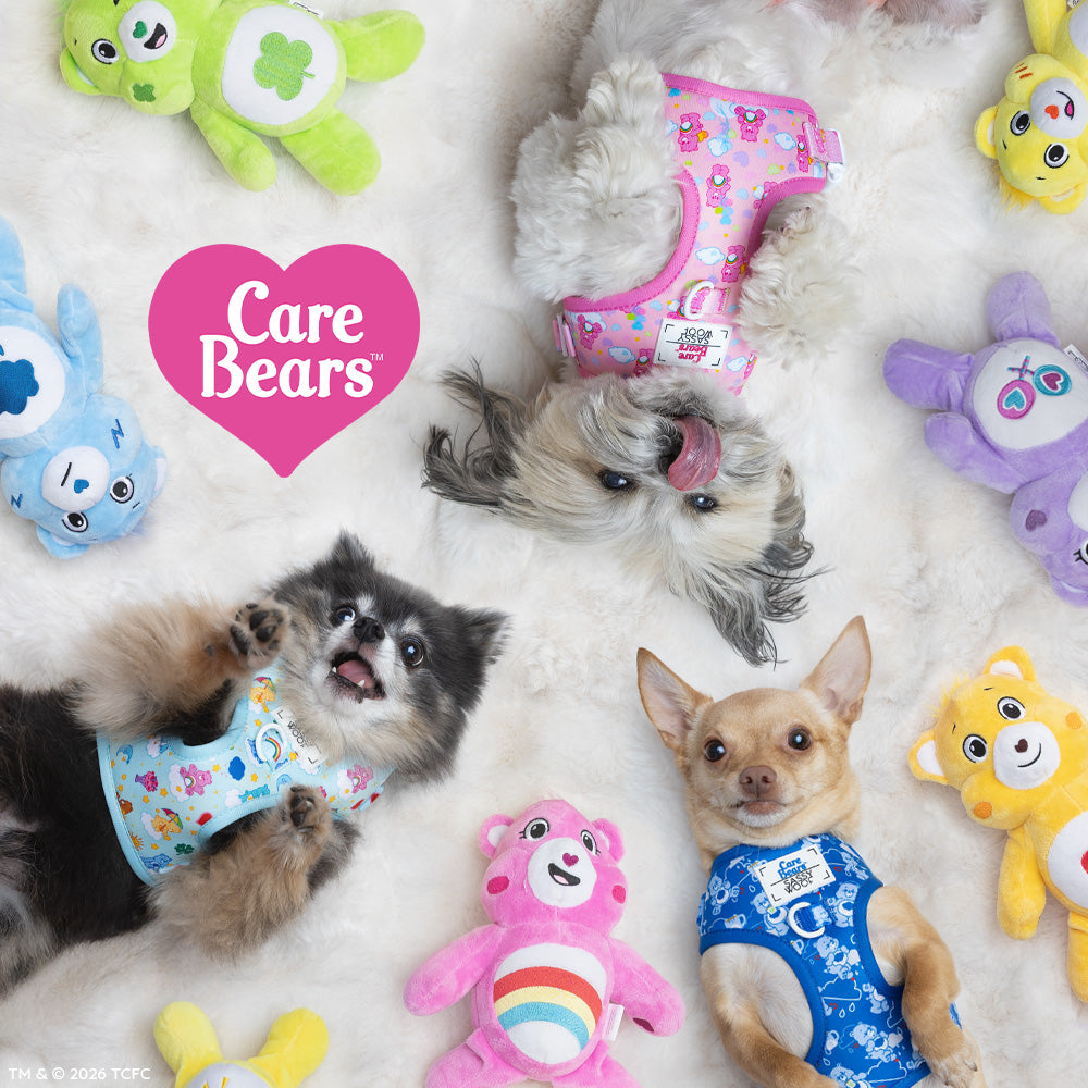 Three small dogs wear the Sassy Woof Dog Two Piece Bundle - Care Bears™ Cheer Bear on a fluffy white surface, surrounded by plush Care Bears toys. A pink heart with the Care Bears logo appears on the left side of the image.