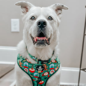 INFLUENCER_CONTENT | @CASEYTHEPYRMIX | SIZE XL