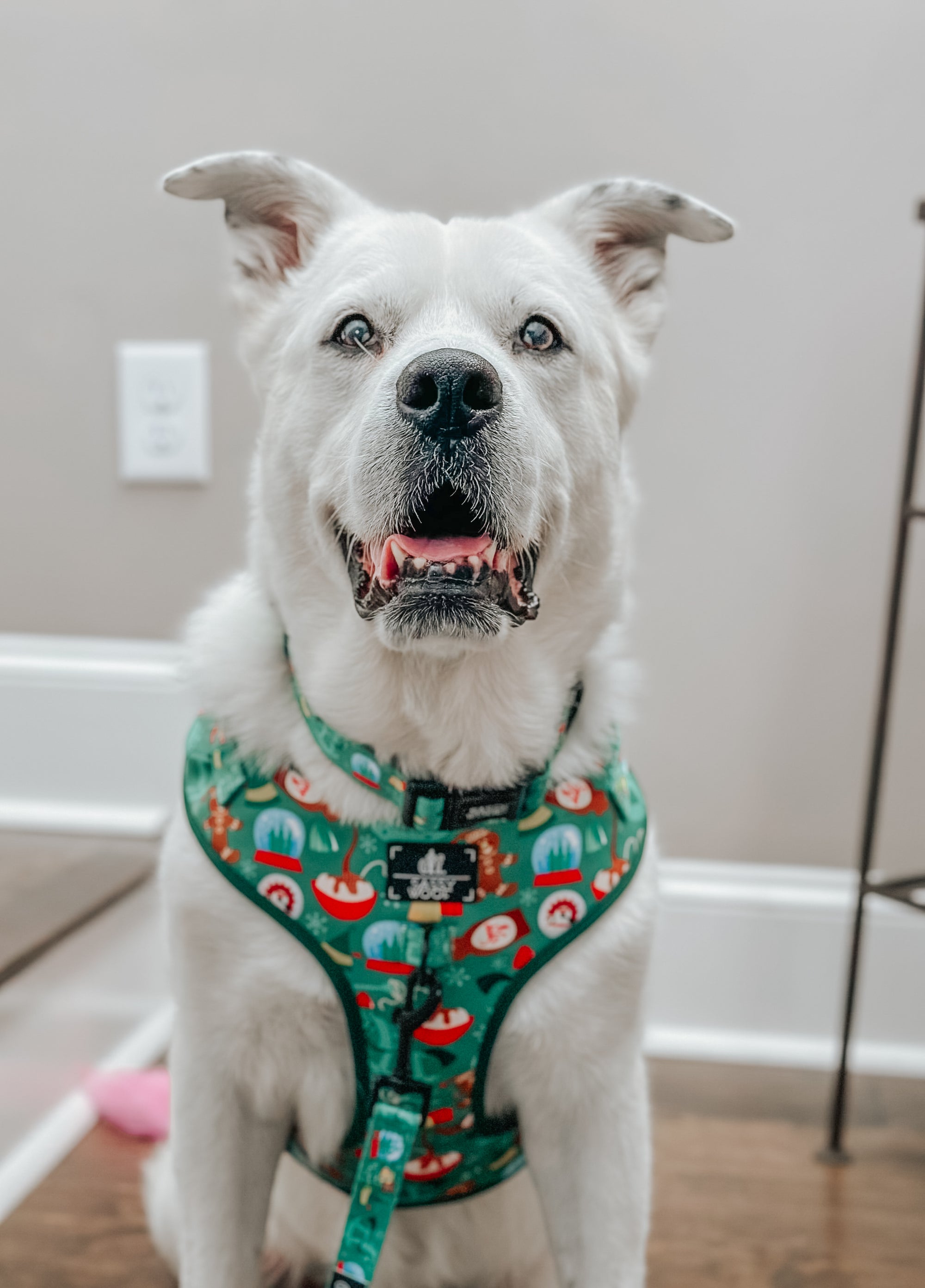 INFLUENCER_CONTENT | @CASEYTHEPYRMIX | SIZE XL