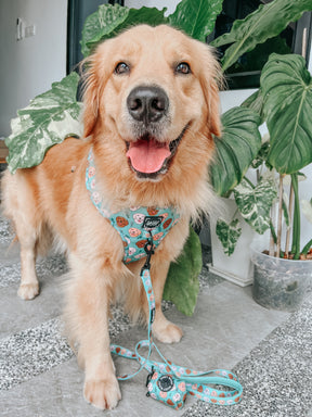 Dog Waste Bag Holder - Glam Goldens