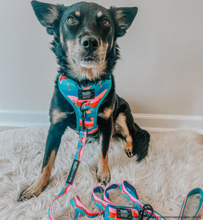 INFLUENCER_CONTENT | @CHAITOTHERESCUE | SIZE M
