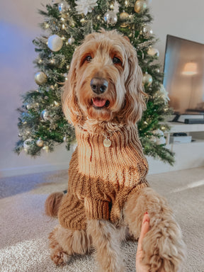 INFLUENCER_CONTENT | @COOPER_TOBYTHEDOODLES | SIZE XL