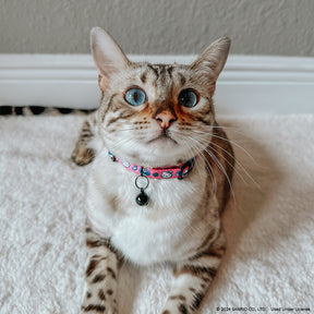 INFLUENCER_CONTENT | @CUTESTBENGALSIBLINGS | SIZE S