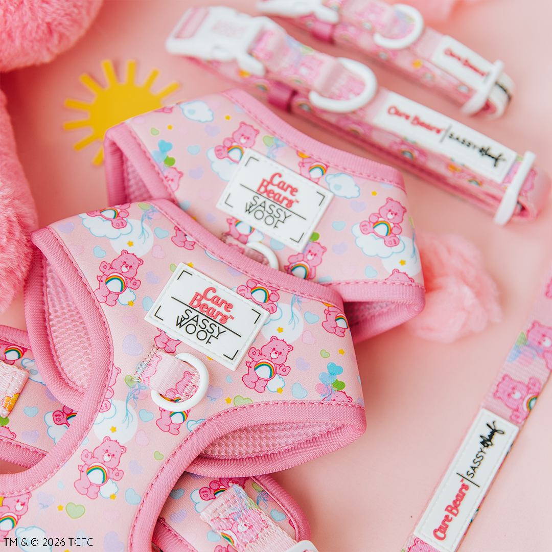 The Sassy Woof Dog Two Piece Bundle - Care Bears™ Cheer Bear, featuring a pink adjustable harness and collar with Care Bears patterns, is displayed on a light pink surface with plush toys and a yellow sun decoration.