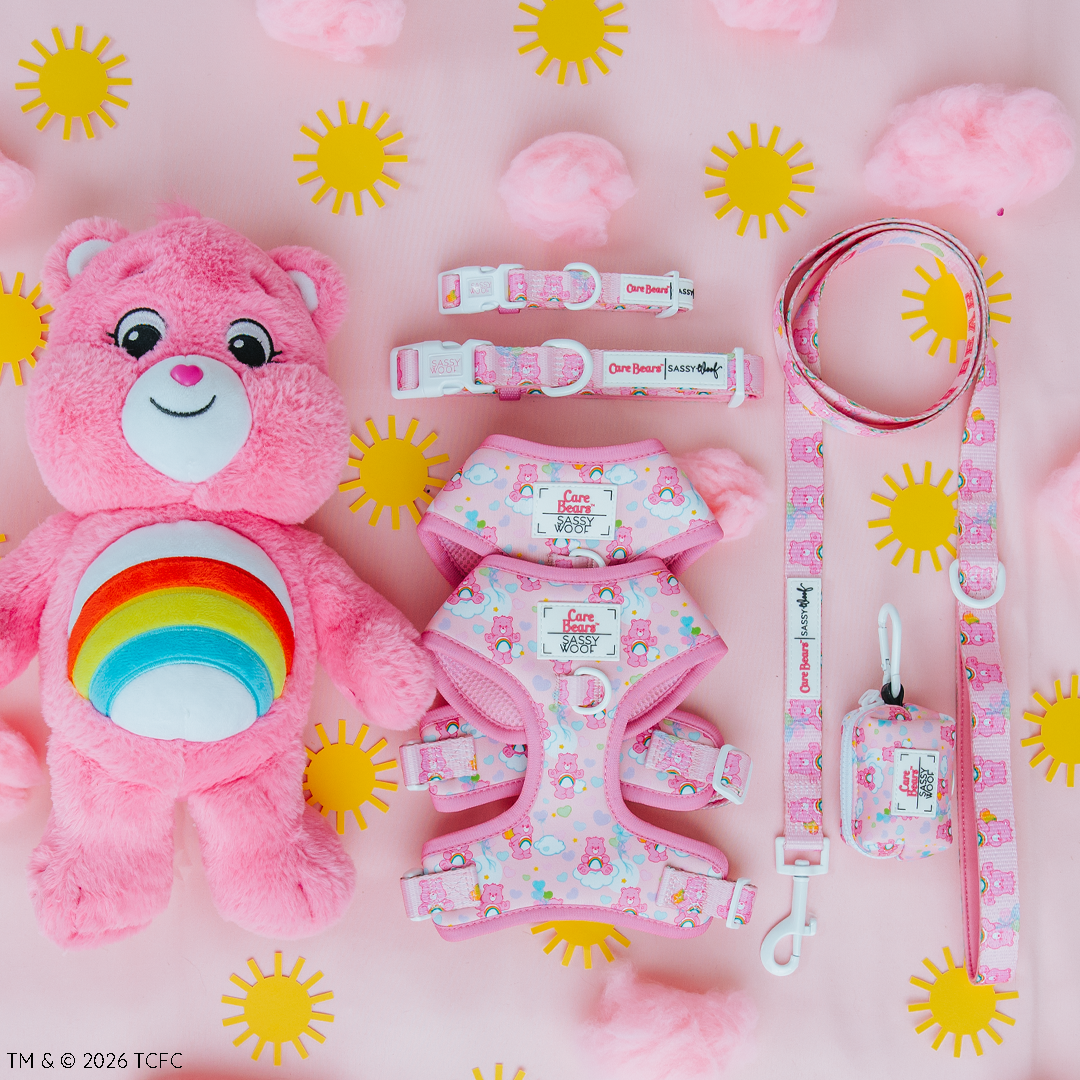 A Sassy Woof Dog Four Piece Bundle - Care Bears™ Cheer Bear—including a pink harness, adjustable dog harness, collar, leash, and waste bag holder—sits on a pink background with yellow suns and cotton clouds.