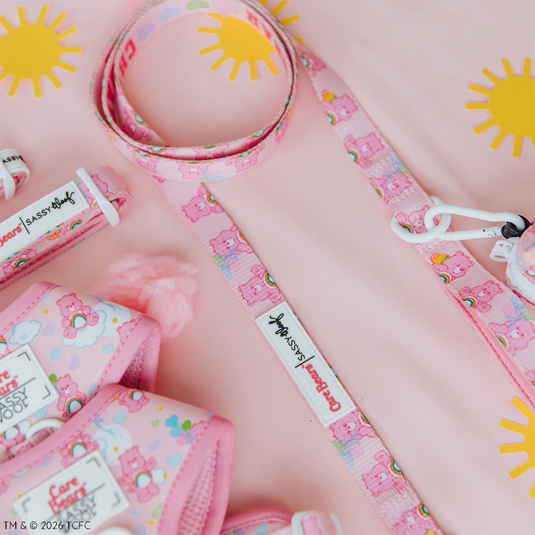 A Sassy Woof Dog Leash - Care Bears™ Cheer Bear and pink harnesses with heart prints are displayed on a light pink background decorated with yellow suns. Product tags read "Sassy Woof.