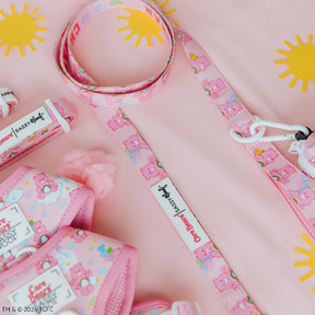 A Sassy Woof Dog Leash - Care Bears™ Cheer Bear and pink harnesses with heart prints are displayed on a light pink background decorated with yellow suns. Product tags read "Sassy Woof.