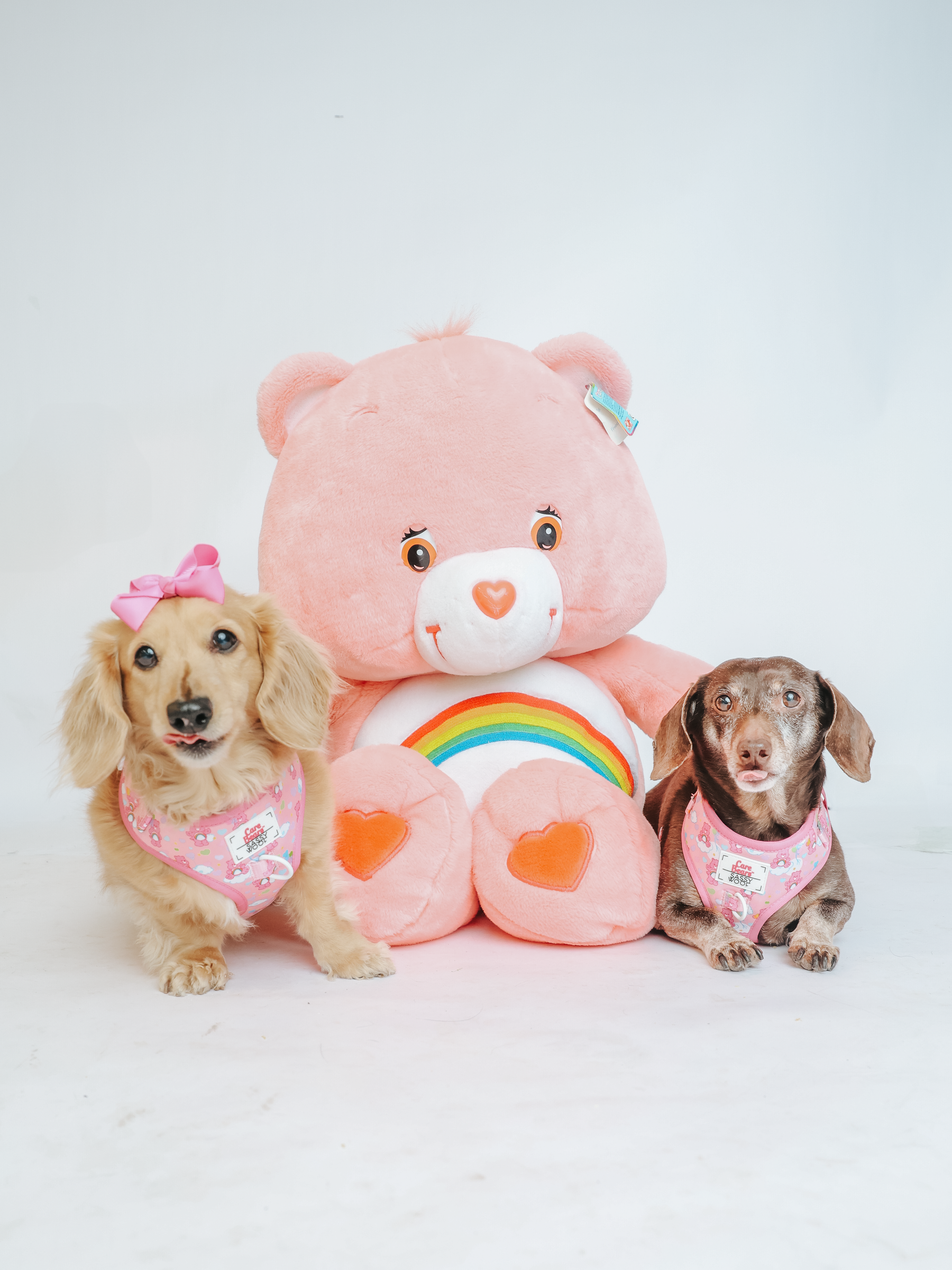 INFLUENCER_CONTENT | @MAYTHEDOX & @WINSTONTHEDOX | SIZE XS