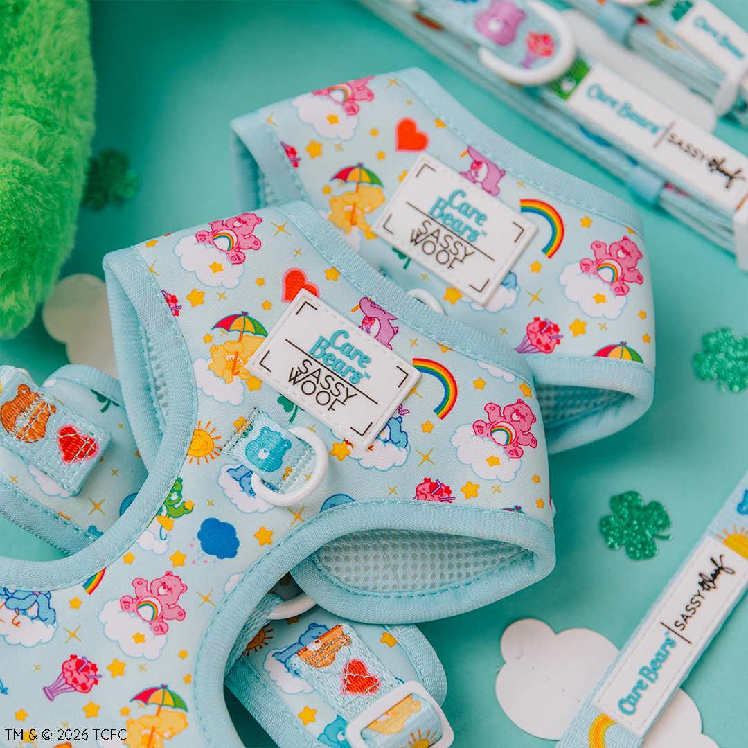 The Sassy Woof Dog Two Piece Bundle - Care Bears™ Care-a-Lot, featuring light blue harnesses with rainbow, star, and heart motifs, is displayed on a teal surface with shamrocks and matching adjustable leashes.