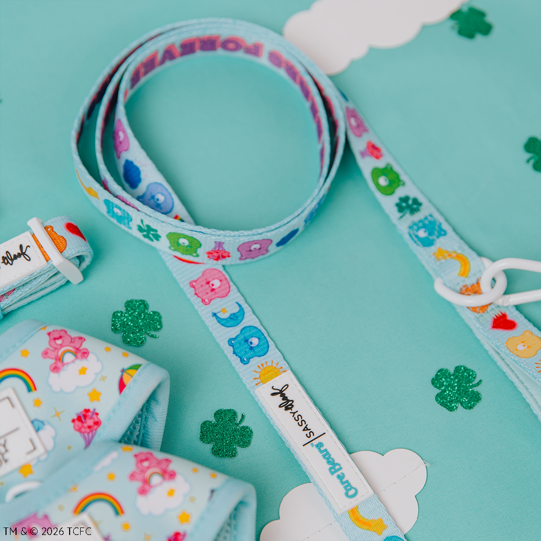 The Sassy Woof Collar Three Piece Bundle - Care Bears™ Care-a-Lot features nostalgic pet accessories with playful character faces and rainbows, displayed on a teal surface with white clouds and green glittery shamrocks.