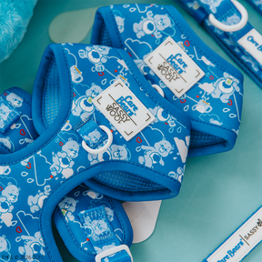 The Sassy Woof Dog Two Piece Bundle - Care Bears™ Grumpy Bear features blue harnesses with Grumpy Bear graphics, adjustable straps, and white Care Bears x Sassy Woof tags, plus matching leashes with red hearts and cartoon bears. Displayed on a teal surface.