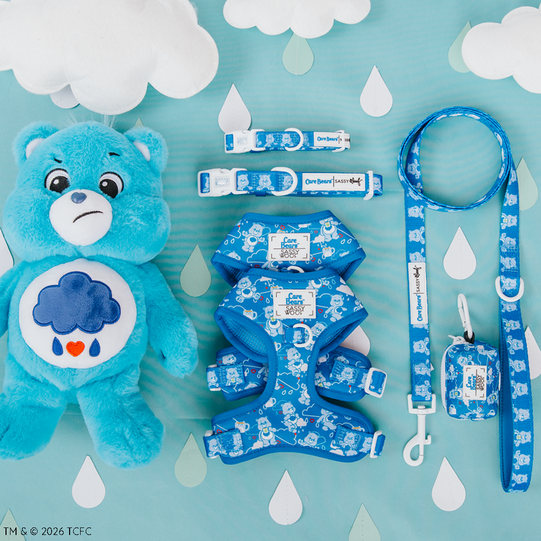 The Sassy Woof Dog Four Piece Bundle - Care Bears™ Grumpy Bear includes blue pet accessories—harness, collars, leash, and waste bag holder—featuring Grumpy Bear. A matching plush toy sits nearby against a cloud and raindrop background.