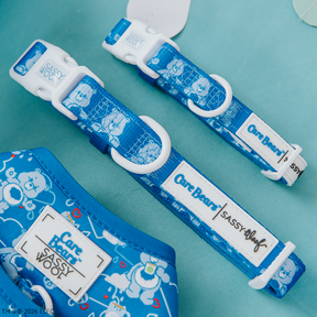 Sassy Woof's Care Bears™ Grumpy Bear dog collar, featuring cartoon blue bear designs and white buckles, is displayed on a teal surface.