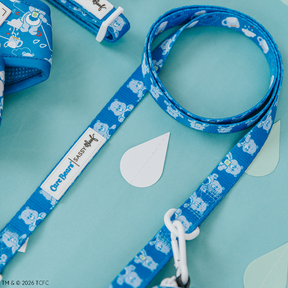 Close-up of the Sassy Woof Dog Leash - Care Bears™ Grumpy Bear with cartoon bear faces on a light green surface. Pair with a matching harness or adjustable collar for a fun, coordinated pet look.
