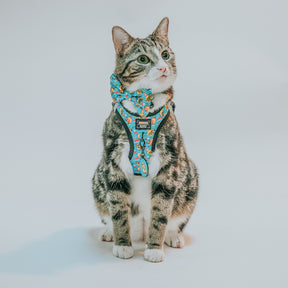A gray and white tabby cat wears the Sassy Woof Collar Tag - Nickelodeon CatDog™ while sitting on a light background, gazing slightly upward.