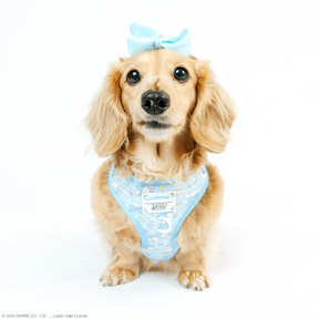 A light brown, long-haired dachshund sits facing forward, wearing a Sassy Woof Dog Adjustable Harness - Cinnamoroll™ with white patterns and a matching blue bow, against a plain white background.