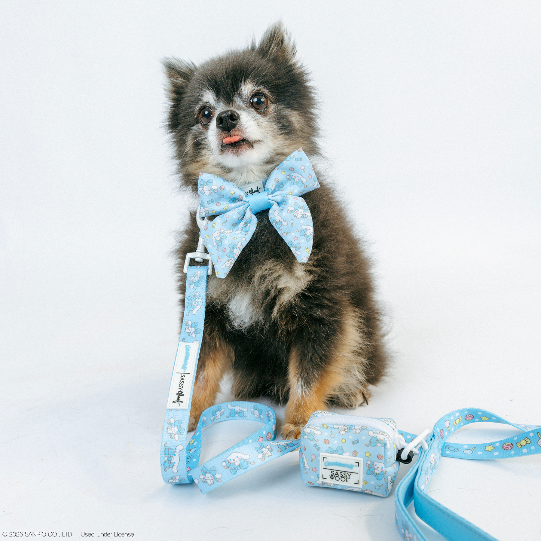 A small fluffy dog wearing a large blue bow tie and a Sassy Woof Dog Collar - Cinnamoroll™ with cartoon patterns sits on a white background, looking up with its tongue out.